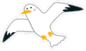 Ornament Bird