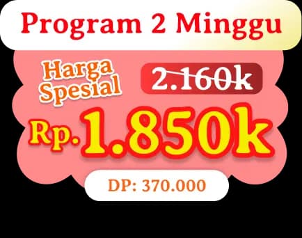 Holiday Ceria Price